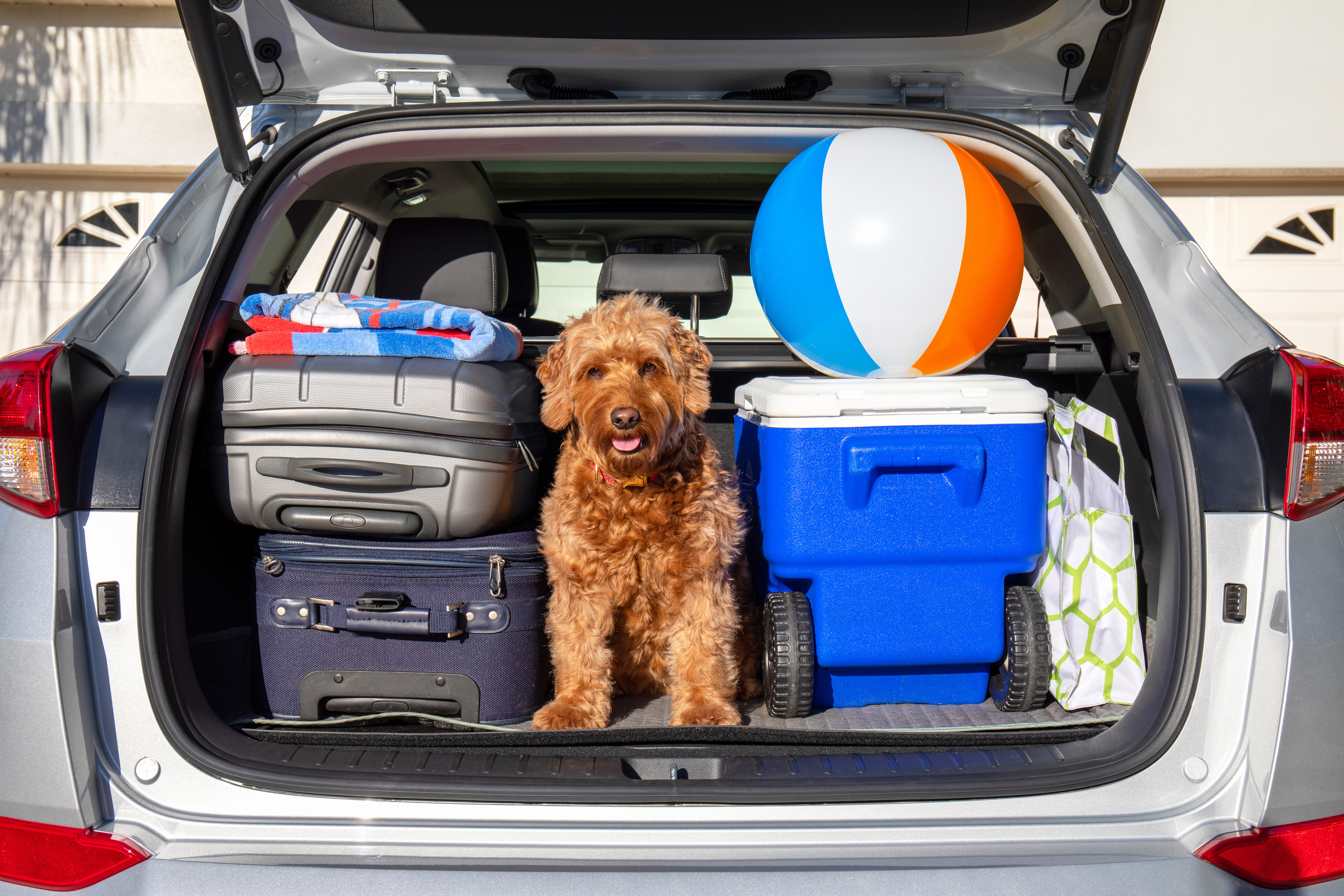 Essential Tips for Preparing Your Vehicle for an Unforgettable Summer Road Trip